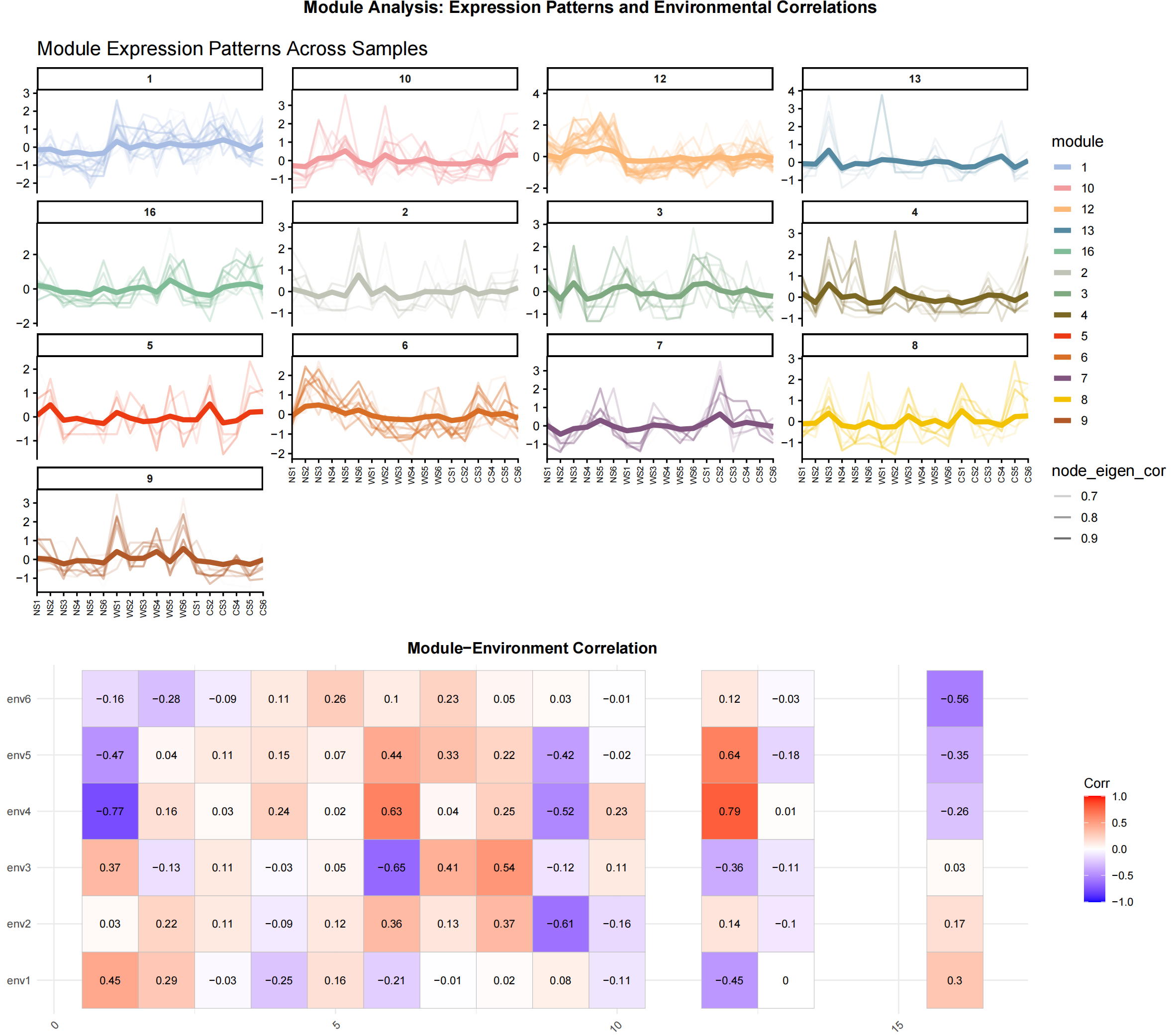 Module expression pattern